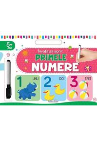 Copertă produs &Icirc;nvață să scrii! Primele numere