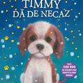 Copertă produs Timmy dă de necaz - gallery small 