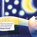 Copertă produs Plăpumioară, mă-nconjoară! - gallery small 