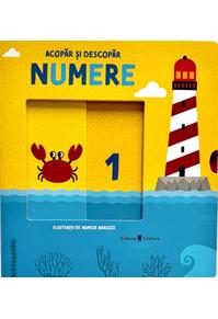 Copertă produs Acopăr și descopăr - Numere
