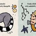 Copertă produs Atinge și simte - Cozi - gallery small 