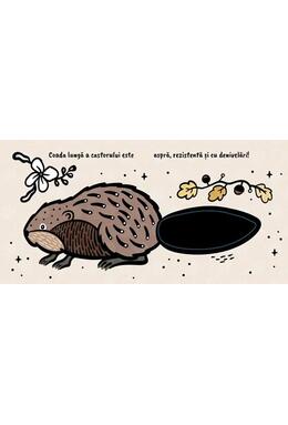 Copertă produs Atinge și simte - Cozi