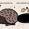Copertă produs Atinge și simte - Cozi - gallery small 