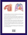 Copertă produs Atlasul corpului uman - thumb 2