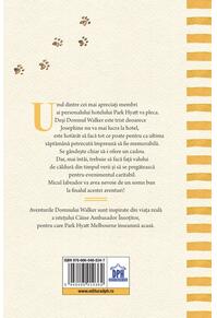 Copertă produs Domnul Walker și dezordinea perfectă