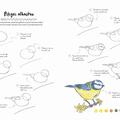 Copertă produs Desen &icirc;n 10 pași. Natură - gallery small 