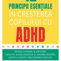Copertă produs 12 principii esențiale &icirc;n creșterea copilului cu ADHD - gallery small 