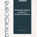 Copertă produs Instrumente muzicale și poetica lor &icirc;n opera lui Eminescu - gallery small 