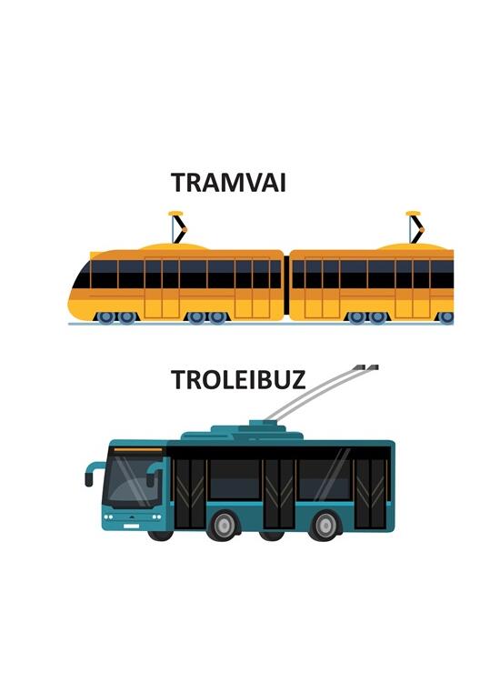 Copertă produs Mijloace de transport - carte pliată - gallery big 3