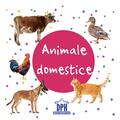 Copertă produs Animale domestice - carte pliată - gallery small 