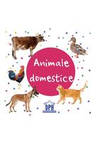 Animale domestice - carte pliată