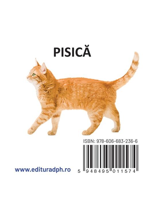 Copertă produs Animale domestice - carte pliată - gallery big 2