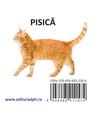 Copertă produs Animale domestice - carte pliată - thumb 2