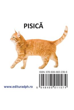 Copertă produs Animale domestice - carte pliată