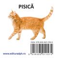 Copertă produs Animale domestice - carte pliată - gallery small 