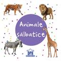 Copertă produs Animale sălbatice - carte pliată - gallery small 