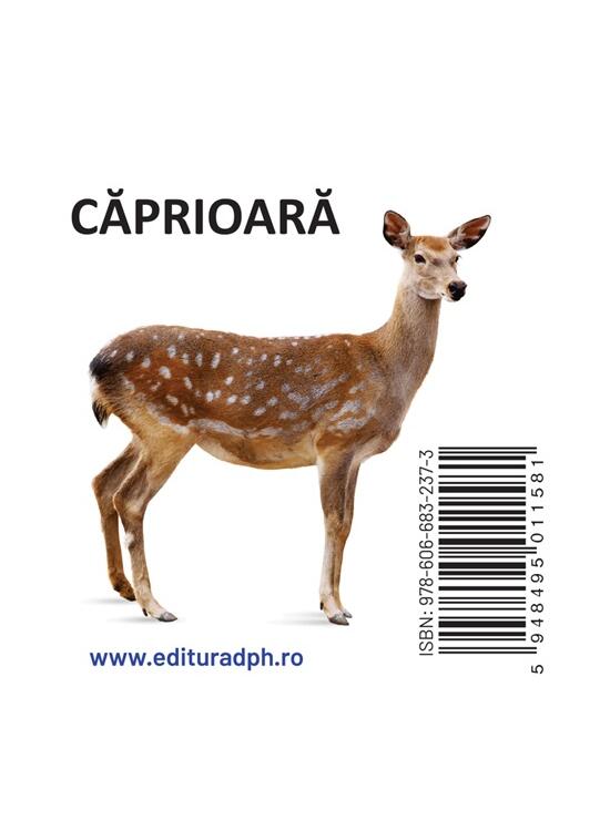Copertă produs Animale sălbatice - carte pliată - gallery big 2