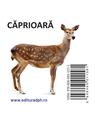 Copertă produs Animale sălbatice - carte pliată - thumb 2