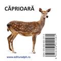 Copertă produs Animale sălbatice - carte pliată - gallery small 