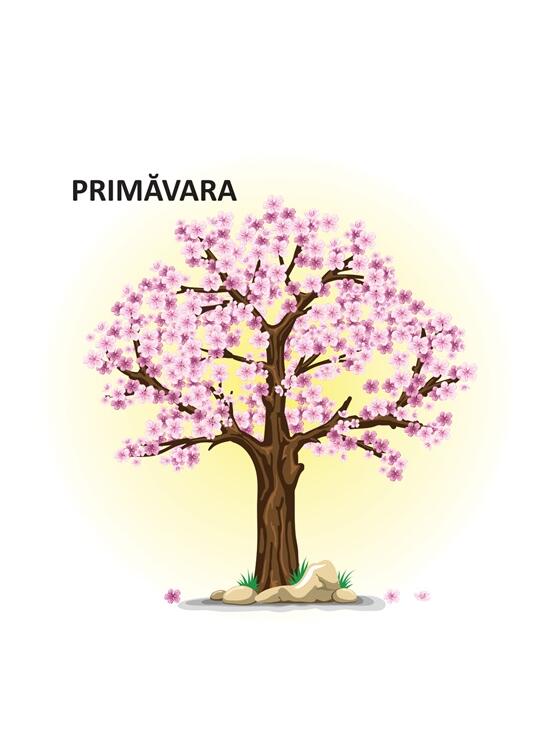 Copertă produs Anotimpurile - carte pliată - gallery big 3