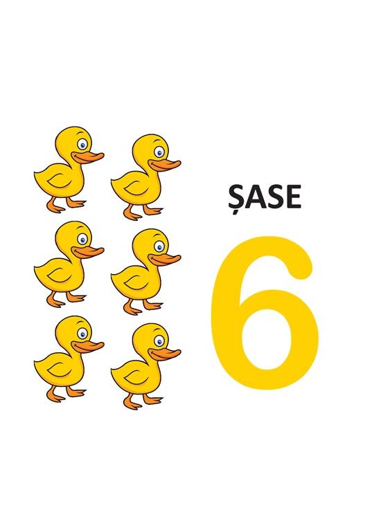 Copertă produs Cifre și culori - carte pliată - gallery big 4