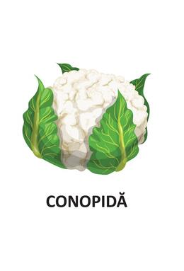 Copertă produs Legume - carte pliată