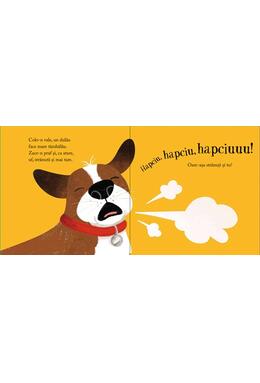 Copertă produs Hapciu, hapciu, hapciu!