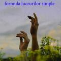 Copertă produs Formula lucrurilor simple - gallery small 