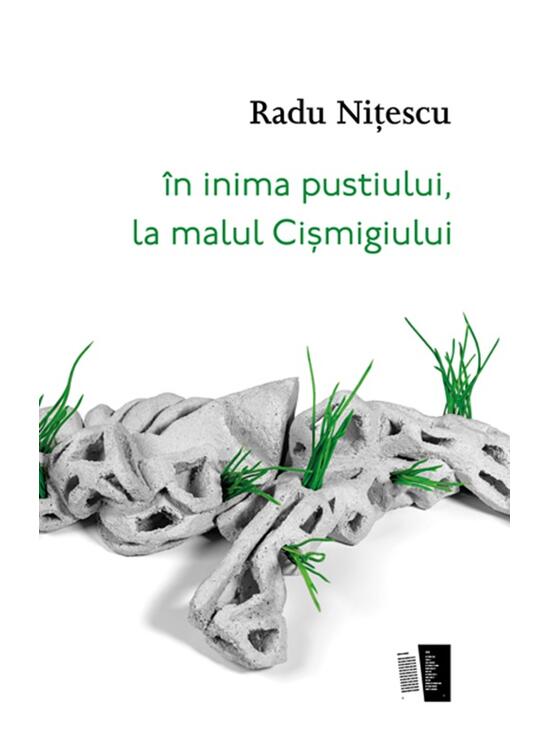 Copertă produs &Icirc;n inima pustiului, la malul Cișmigiului - gallery big 1