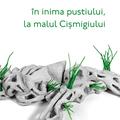 Copertă produs &Icirc;n inima pustiului, la malul Cișmigiului - gallery small 