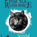 Copertă produs Secretul lui Colț Galben (Vol. 6) - gallery small 