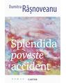 Copertă produs Splendida poveste accident - thumb 1