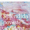 Copertă produs Splendida poveste accident - gallery small 