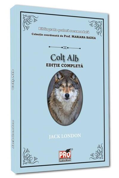Colț alb
