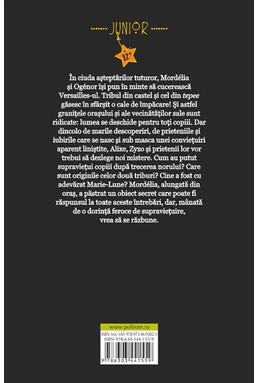 Copertă produs N.E.O. 2. Cele două castele