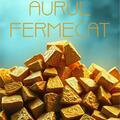 Copertă produs Aurul fermecat - gallery small 