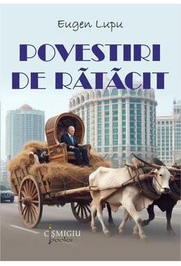Copertă produs Povestiri de rătăcit
