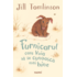 Copertă produs Furnicarul care voia să se cunoască mai bine