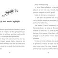 Copertă produs Aventuri cu ponei - Fulger este &icirc;n pericol - gallery small 