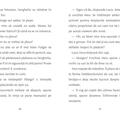 Copertă produs Aventuri cu ponei - Fulger este &icirc;n pericol - gallery small 