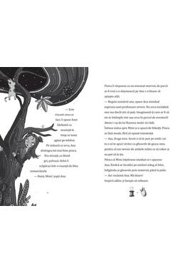 Copertă produs Sofia și pantofii magici. Aripile fermecate (Vol. 3)