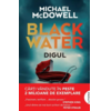 Copertă produs Blackwater. Digul (Vol. 2)