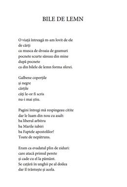 Copertă produs Ard cărțile