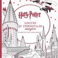 Copertă produs Harry Potter. Locuri și personaje magice - gallery small 