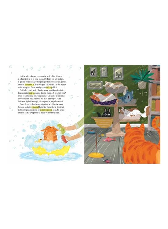 Copertă produs Librăria cu pisici. Motanul care făcea pe șeful - gallery big 2