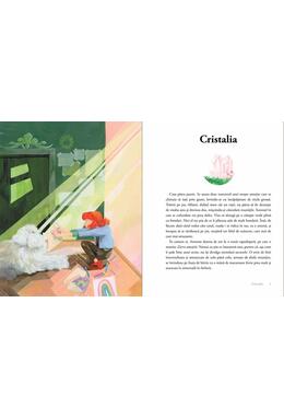 Copertă produs Antunia Petunia și Tăr&acirc;mul de Cristal