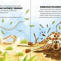 Copertă produs Girafa care nu putea să ajungă la frunze - gallery small 