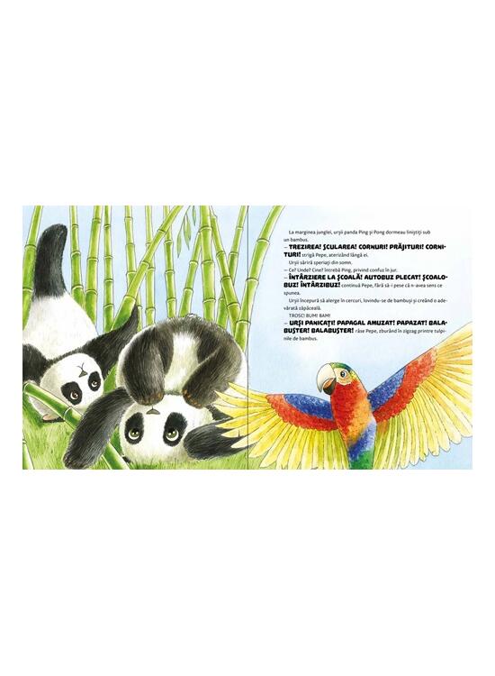 Copertă produs Papagalul care vorbea prea mult - gallery big 4