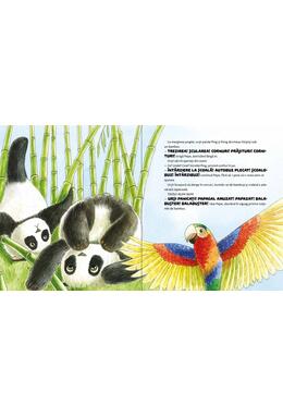 Copertă produs Papagalul care vorbea prea mult