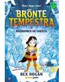 Copertă produs Bronte Tempestra și războinicii de gheață (Vol. 2) - thumb 1